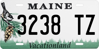 ME license plate 3238TZ