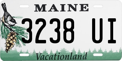 ME license plate 3238UI