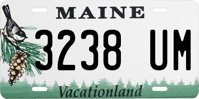 ME license plate 3238UM