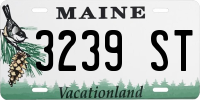 ME license plate 3239ST