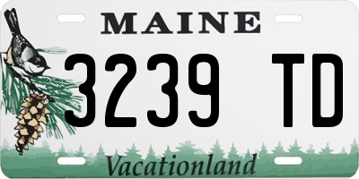 ME license plate 3239TD