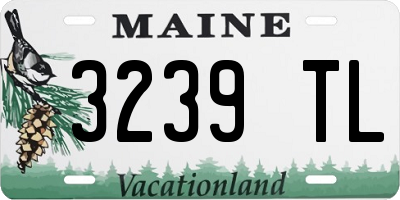 ME license plate 3239TL
