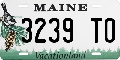 ME license plate 3239TO