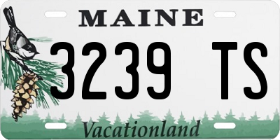 ME license plate 3239TS