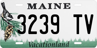 ME license plate 3239TV