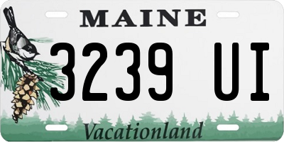 ME license plate 3239UI