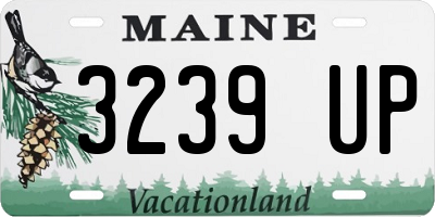 ME license plate 3239UP