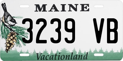 ME license plate 3239VB