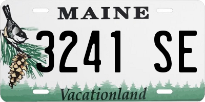ME license plate 3241SE