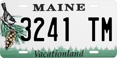 ME license plate 3241TM