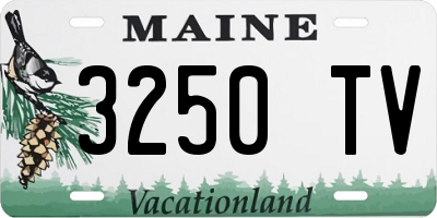 ME license plate 3250TV