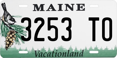 ME license plate 3253TO