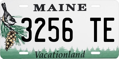 ME license plate 3256TE