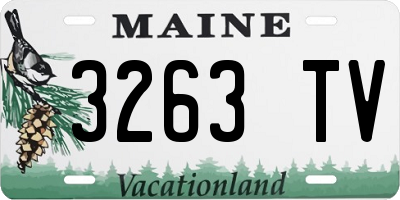 ME license plate 3263TV