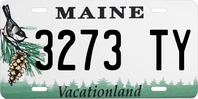 ME license plate 3273TY