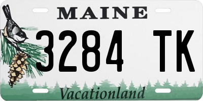 ME license plate 3284TK