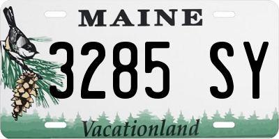 ME license plate 3285SY