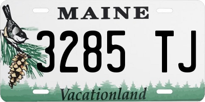 ME license plate 3285TJ
