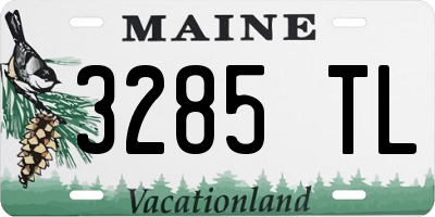ME license plate 3285TL