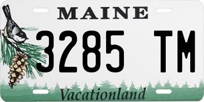 ME license plate 3285TM