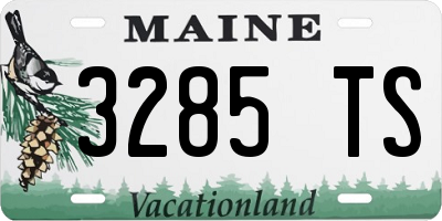 ME license plate 3285TS