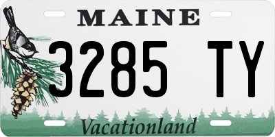 ME license plate 3285TY