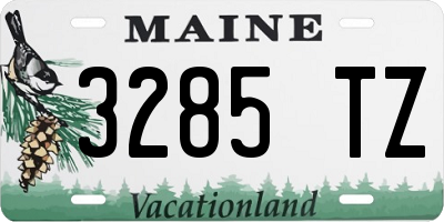 ME license plate 3285TZ