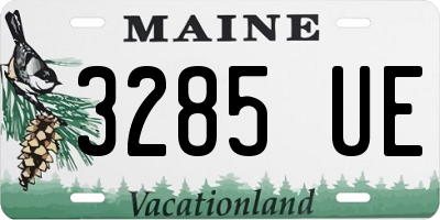 ME license plate 3285UE