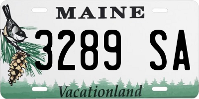 ME license plate 3289SA