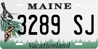 ME license plate 3289SJ