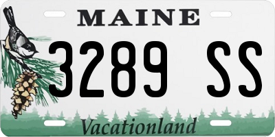 ME license plate 3289SS