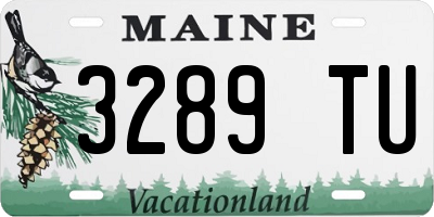 ME license plate 3289TU