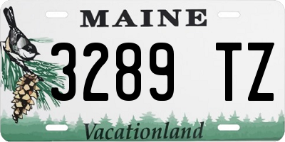 ME license plate 3289TZ