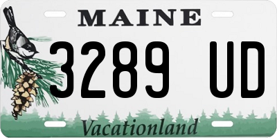 ME license plate 3289UD