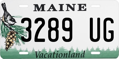 ME license plate 3289UG