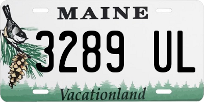 ME license plate 3289UL