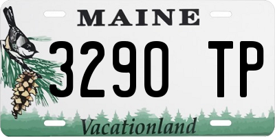 ME license plate 3290TP