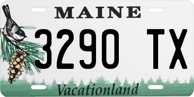 ME license plate 3290TX