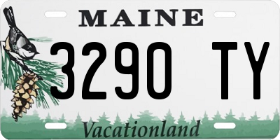 ME license plate 3290TY