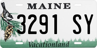 ME license plate 3291SY
