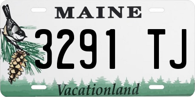 ME license plate 3291TJ