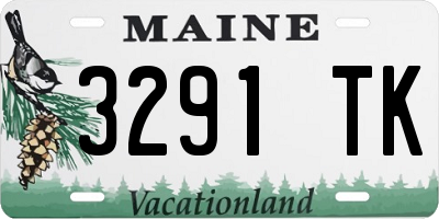 ME license plate 3291TK