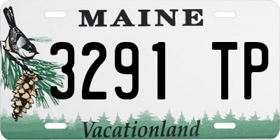 ME license plate 3291TP
