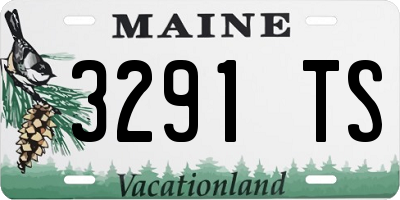 ME license plate 3291TS