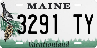 ME license plate 3291TY