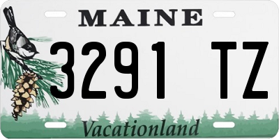 ME license plate 3291TZ