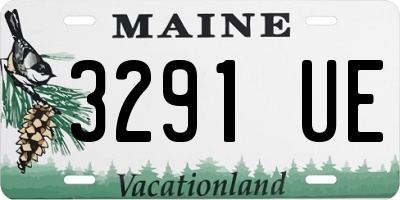 ME license plate 3291UE