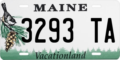 ME license plate 3293TA