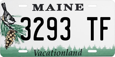 ME license plate 3293TF