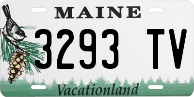 ME license plate 3293TV